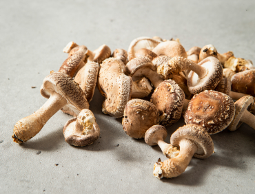 shiitaki nauda SVEIKATAI